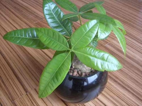 3124ʱ͡ͼ۸ÿϵ90Ԫ85Ԫ